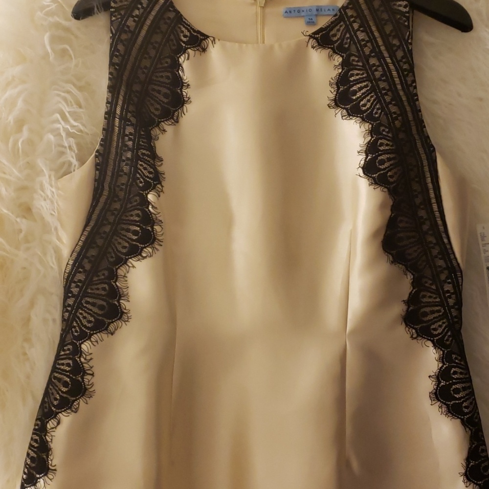 ANTONIO MELANI  chic champagne dress w/black lace - Picture 2 of 4